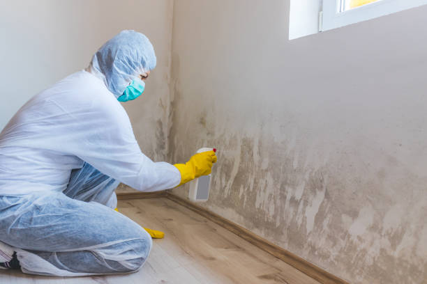 Mold Remediation specialist working in Westport